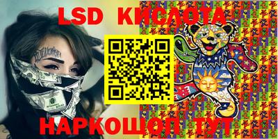 ПСИЛОЦИБИНОВЫЕ ГРИБЫ Заволжье