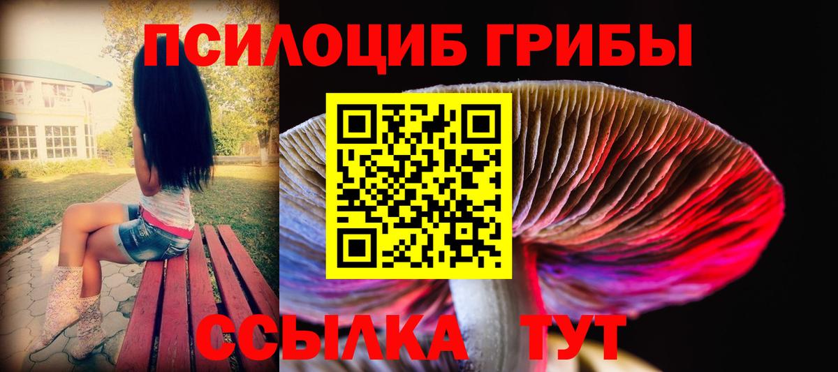 Галлюциногенные грибы Psilocybe  Вход с VPN  Псилоцибиновые грибы ЛСД  Кунгур 